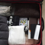 Κάκτος ισορροπίας μίνι - Image 3