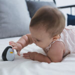 Πιγκουίνος