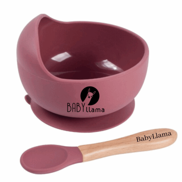 Μπoλ Φαγητού Σιλικόνης με κουτάλι Dusty Rose