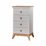 Alegra Xmas Offer - Image 2